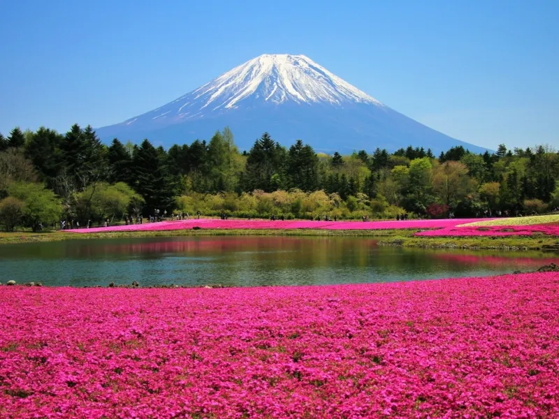 Elegant Japonya ve Kore Turu - Şehir Turları Dahil