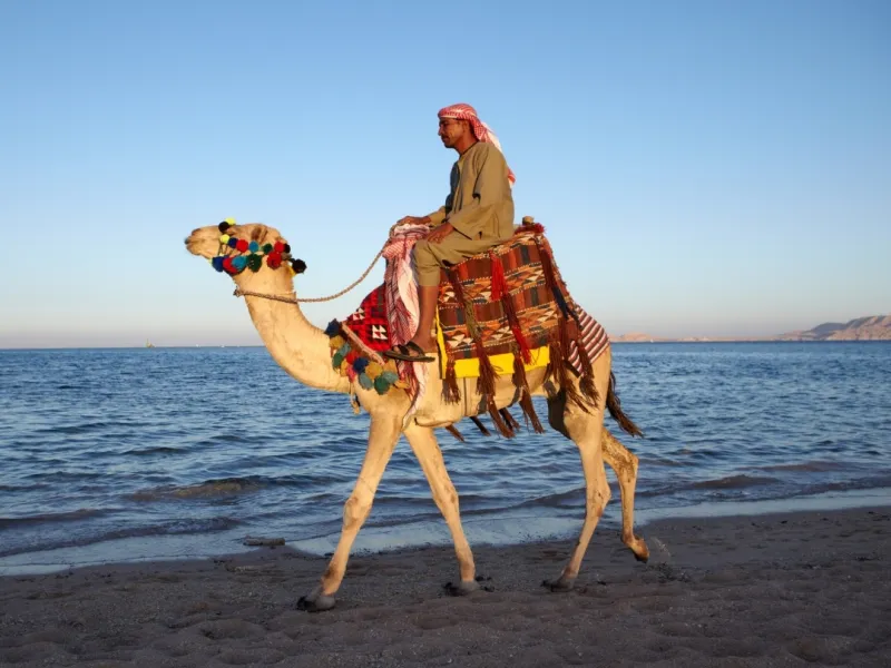 Baştanbaşa Mısır Turları Sharm, Kahire ve Hurgada Turu 12