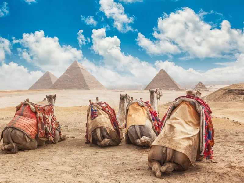 Baştanbaşa Mısır Turları Sharm, Kahire ve Hurgada Turu 6