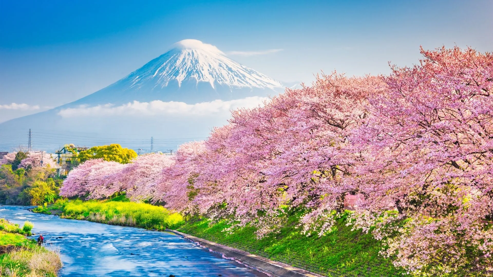 Japonya