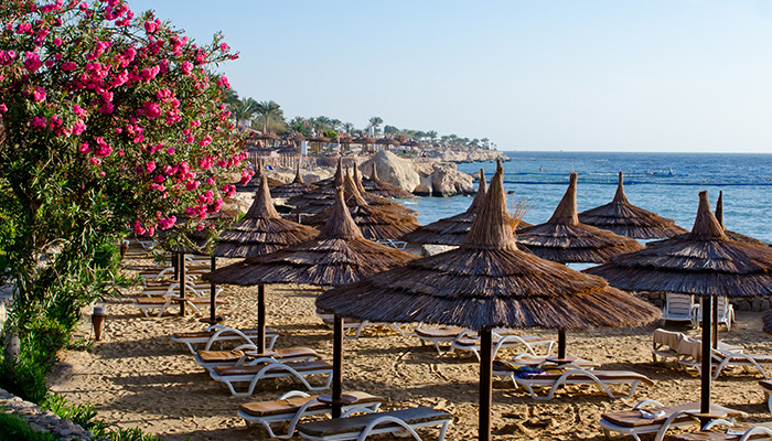 Sharm El Sheikh Kahire Turu Ajet ile 5 Gece 6 Gün (Sharm Gider-Kahire Döner) 2